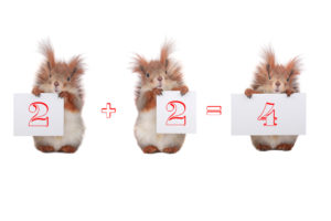 Squirrel Infestation