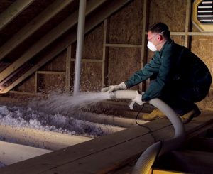 How to Recover from Rodent Insulation Damage